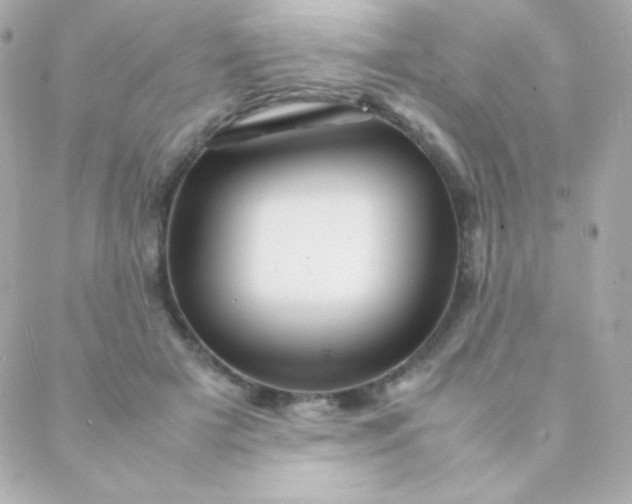 X0000088130505200705291336