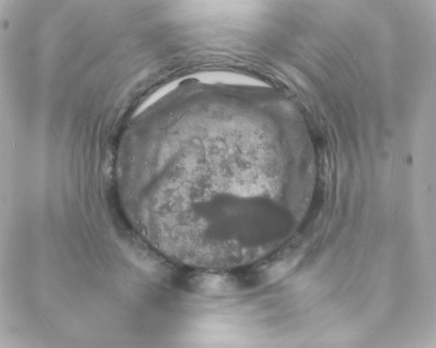 X0000088130507200705291336