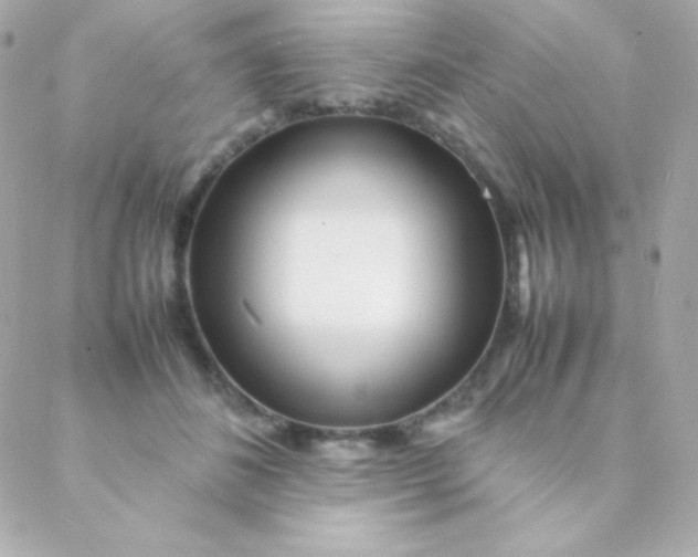 X0000088130508200705291336