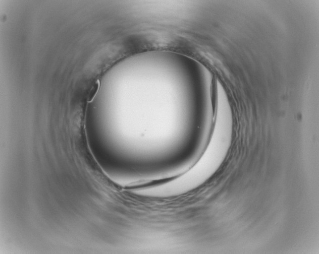 X0000088130509200705291336