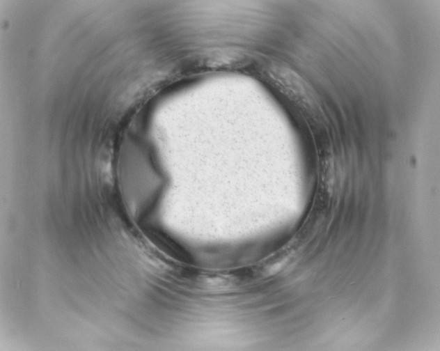 X0000088130510200705291336