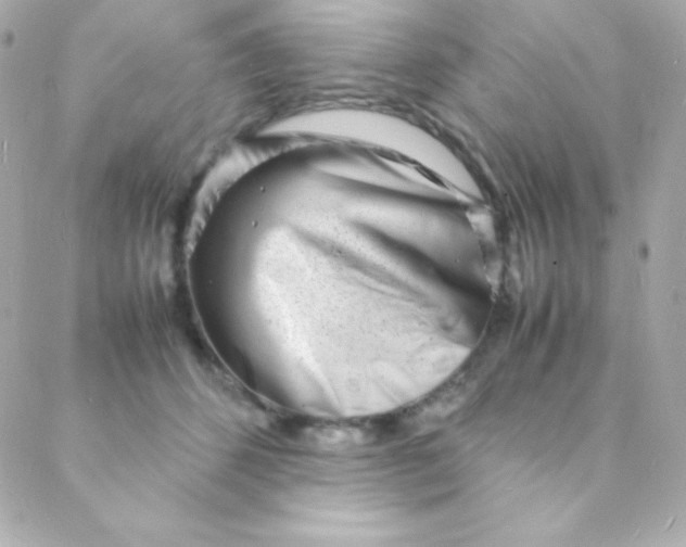 X0000088130512200705291336