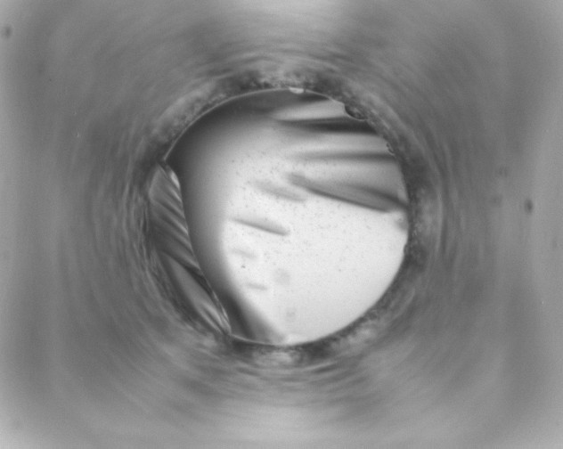 X0000088130513200705291336