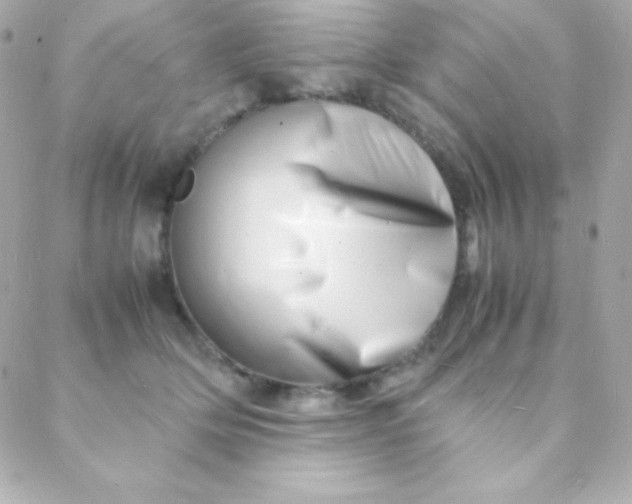 X0000088130514200705291336