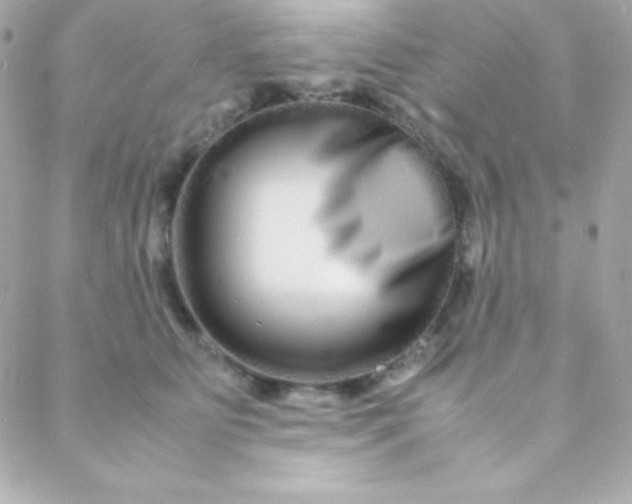 X0000088130515200705291336