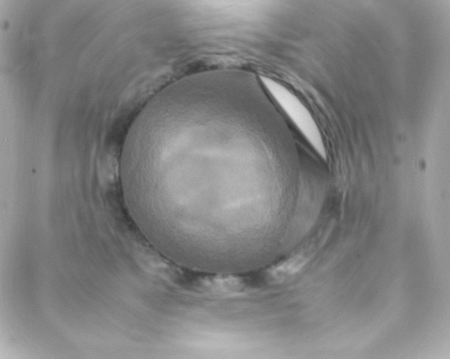 X0000088130517200705291336