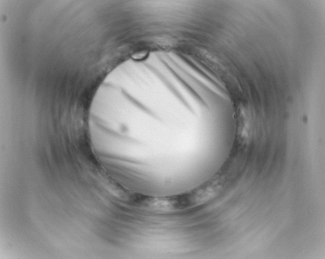 X0000088130518200705291336