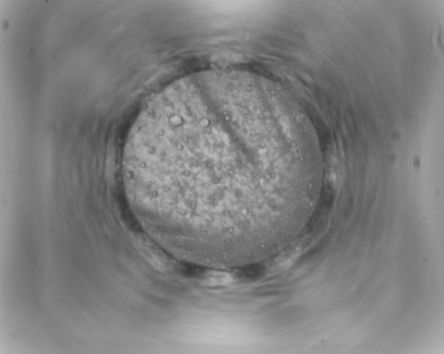 X0000088130519200705291336