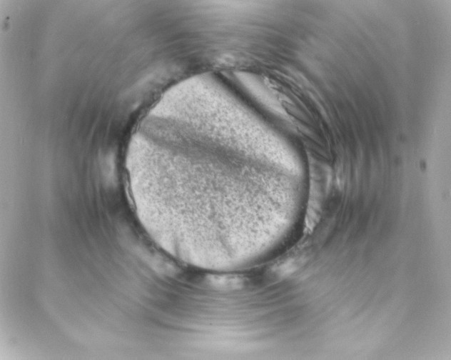 X0000088130520200705291336