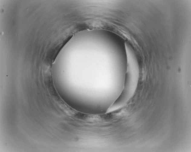 X0000088130521200705291336