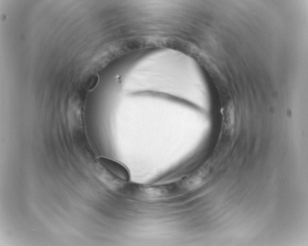 X0000088130522200705291336