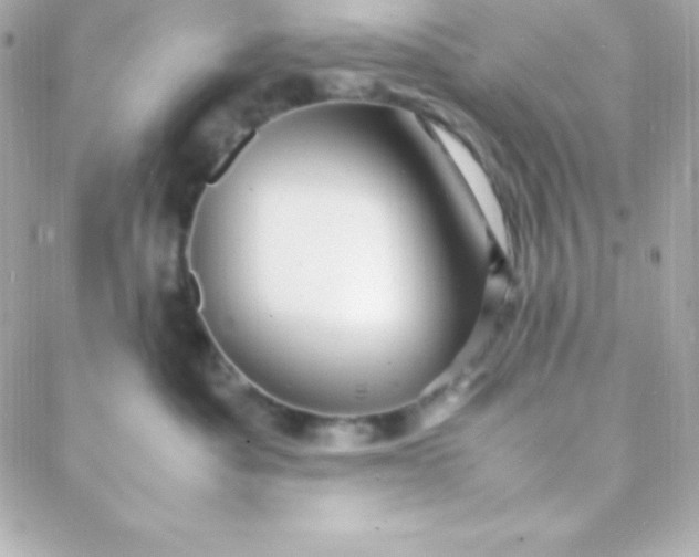 X0000088130525200705291336