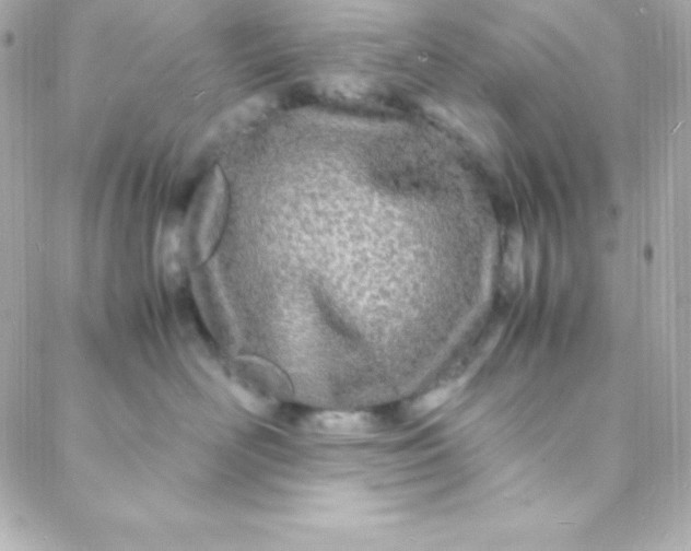 X0000088130526200705291336