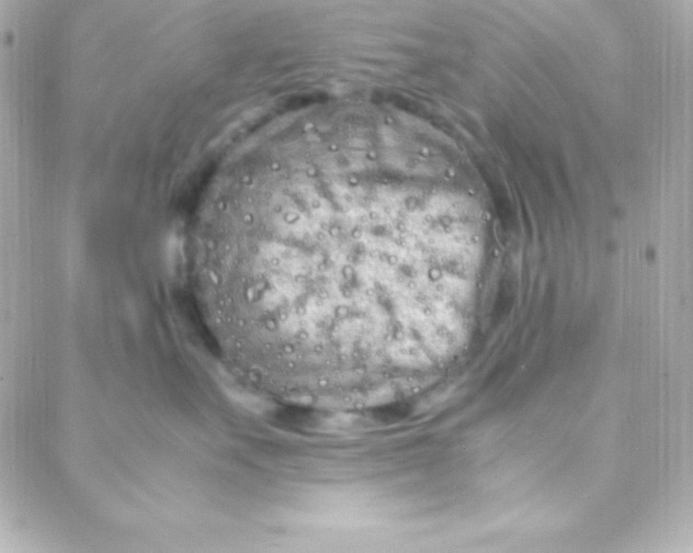 X0000088130527200705291336