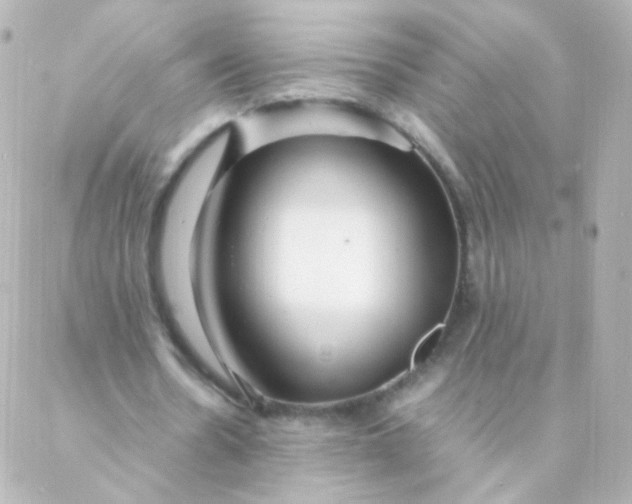 X0000088130530200705291335