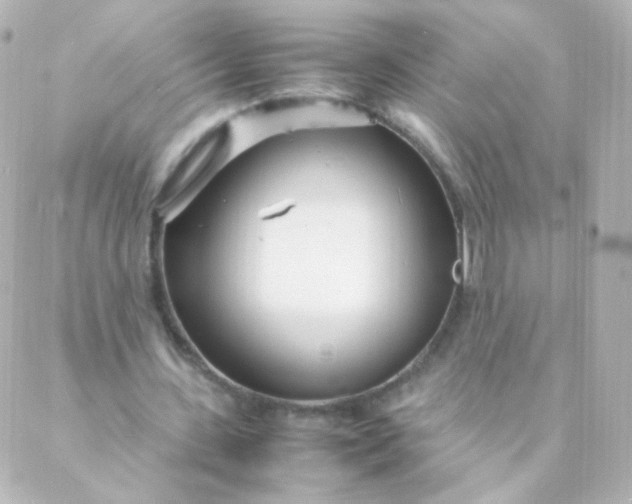 X0000088130531200705291335