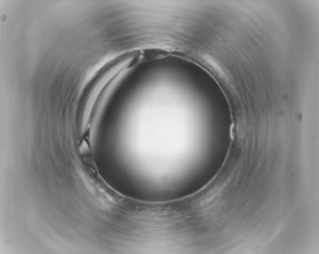 X0000088130532200705291335