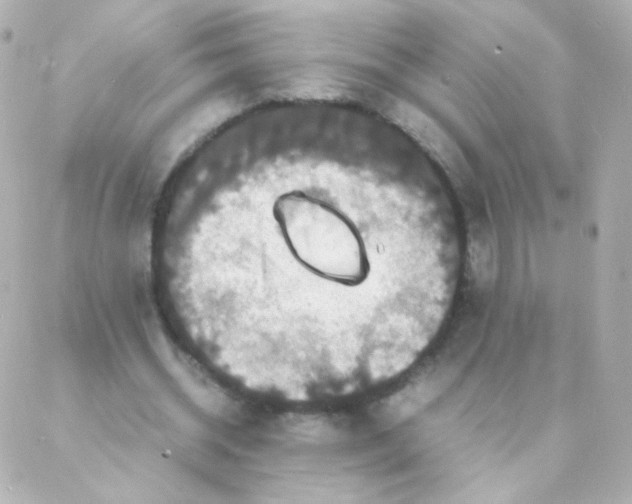 X0000088130534200705291335