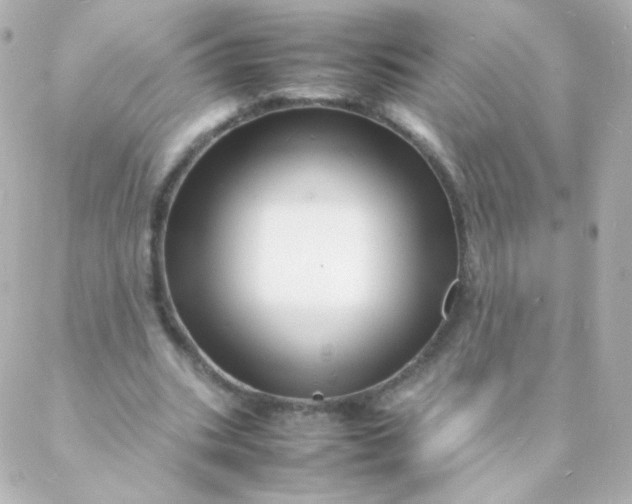 X0000088130535200705291335