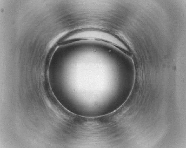 X0000088130536200705291335