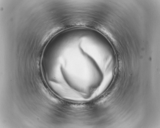 X0000088130537200705291335