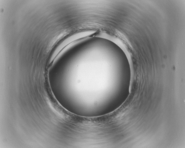 X0000088130538200705291335