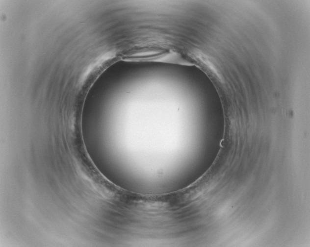 X0000088130539200705291335