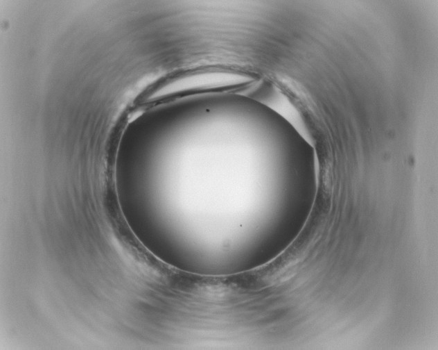 X0000088130540200705291335