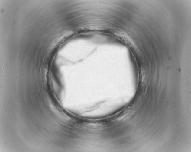 X0000088130542200705291335