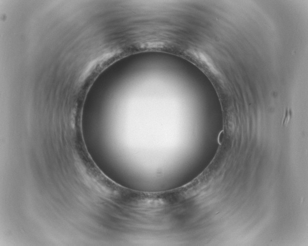 X0000088130543200705291335