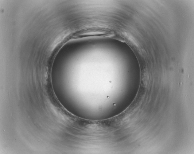 X0000088130544200705291335