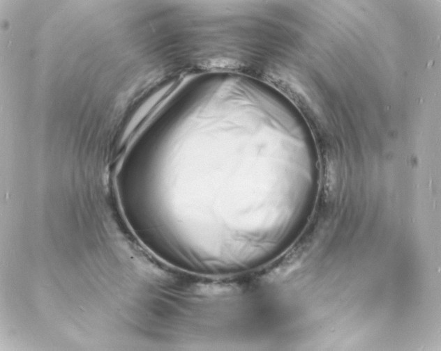 X0000088130545200705291335