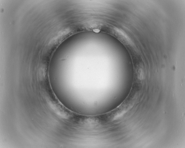 X0000088130546200705291335