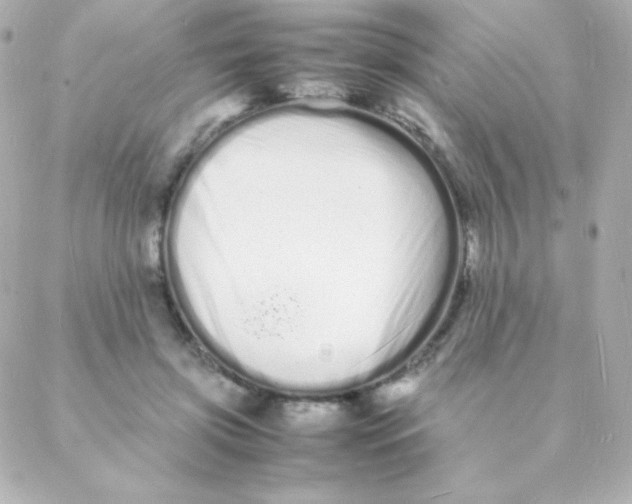 X0000088130549200705291335