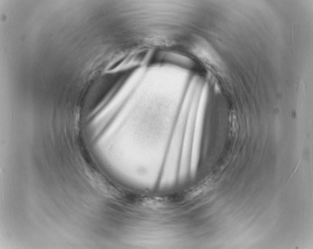 X0000088130550200705291335