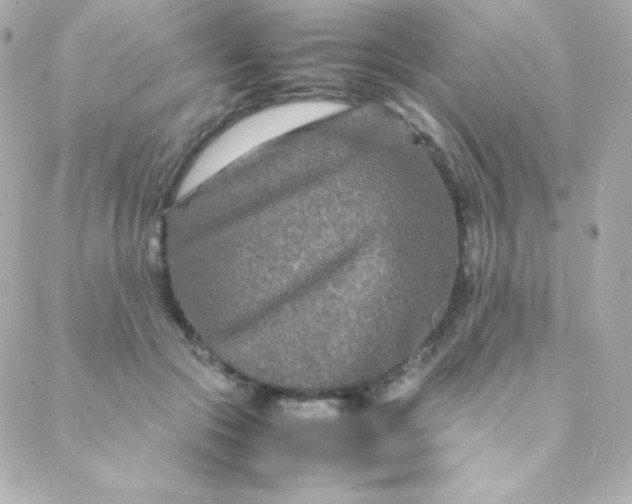 X0000088130553200705291335