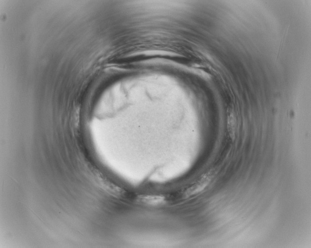 X0000088130554200705291335