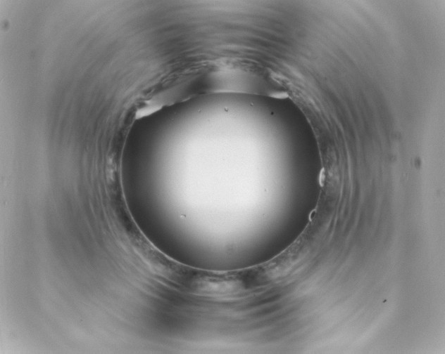 X0000088130555200705291335