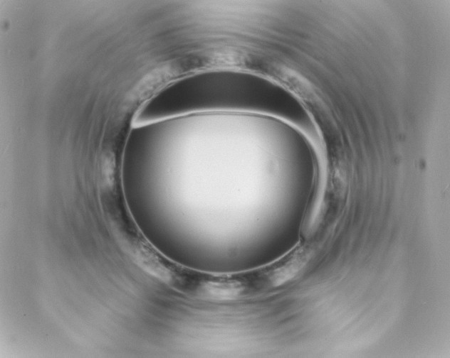 X0000088130556200705291335