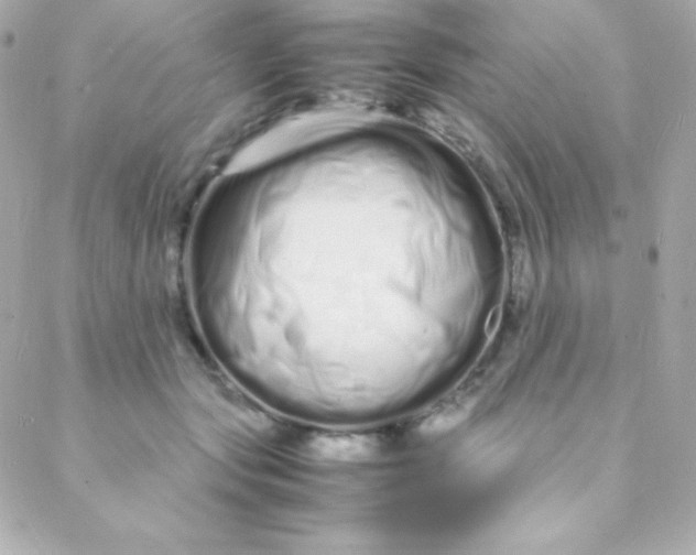 X0000088130557200705291335