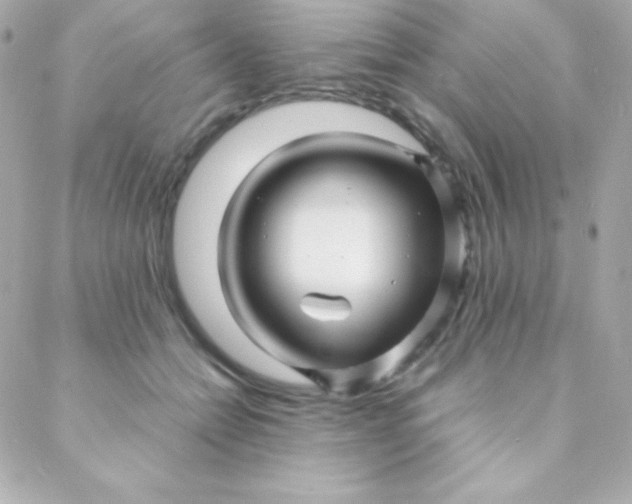 X0000088130558200705291336