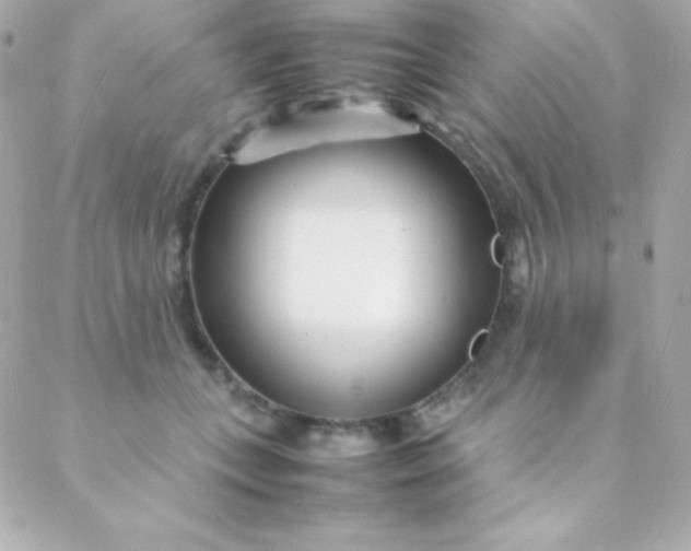 X0000088130559200705291336