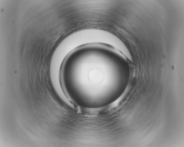 X0000088130560200705291336