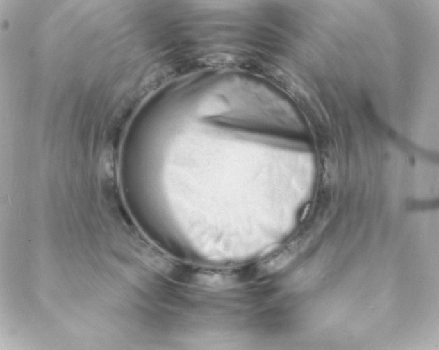 X0000088130561200705291336