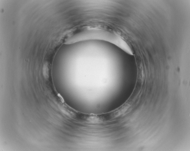 X0000088130562200705291336