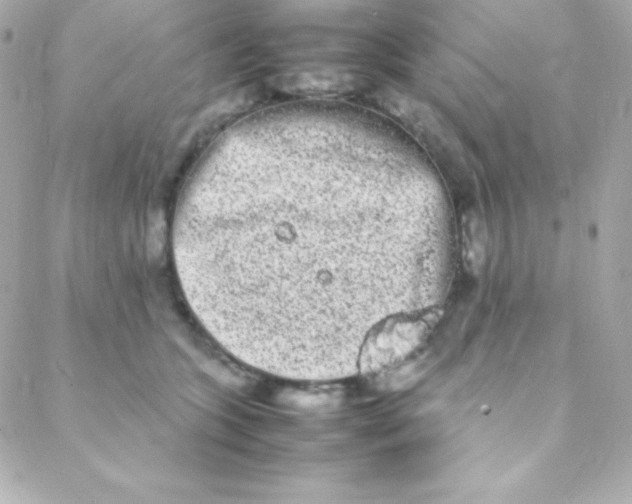 X0000088130563200705291336