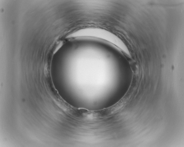 X0000088130564200705291336