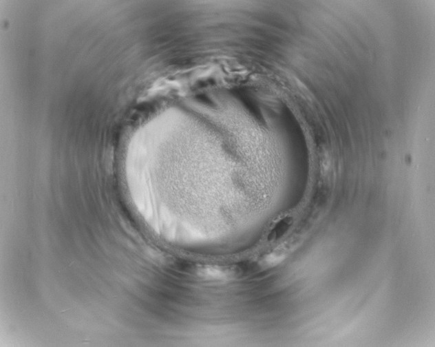 X0000088130565200705291336