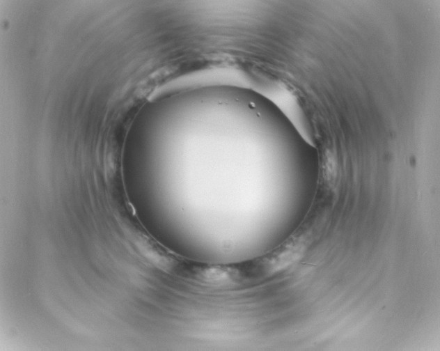 X0000088130566200705291336