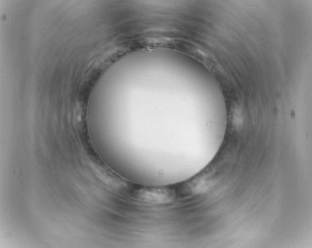 X0000088130567200705291336